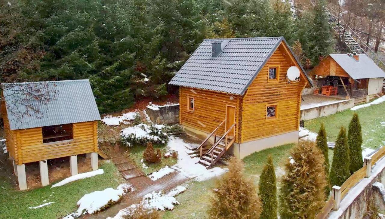 Садиба Віват Villa Oryavchyk Dış mekan fotoğraf